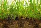 Muckenburrasub-soil-drainage-6.jpg; ?>